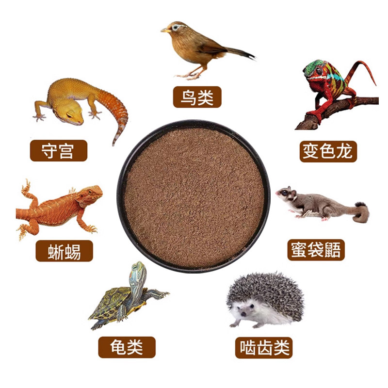 无菌地蜘蛛粉蟋蟀地栖画眉百灵红定鸟R属睫角守宫鬃狮乌龟食物粮