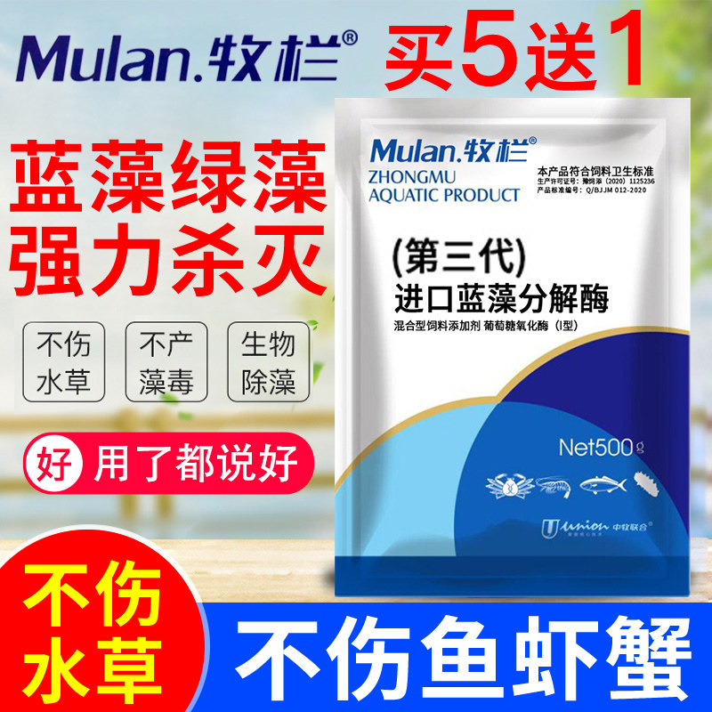 蓝藻分解酶蓝藻净蓝藻分解素速灭虾鱼塘水产养殖除藻剂生物蓝藻净