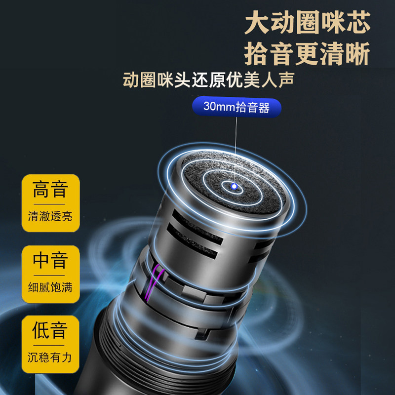 u段无线话筒万能通用家用唱歌ktv一拖二专业舞台演出户外麦克风图片