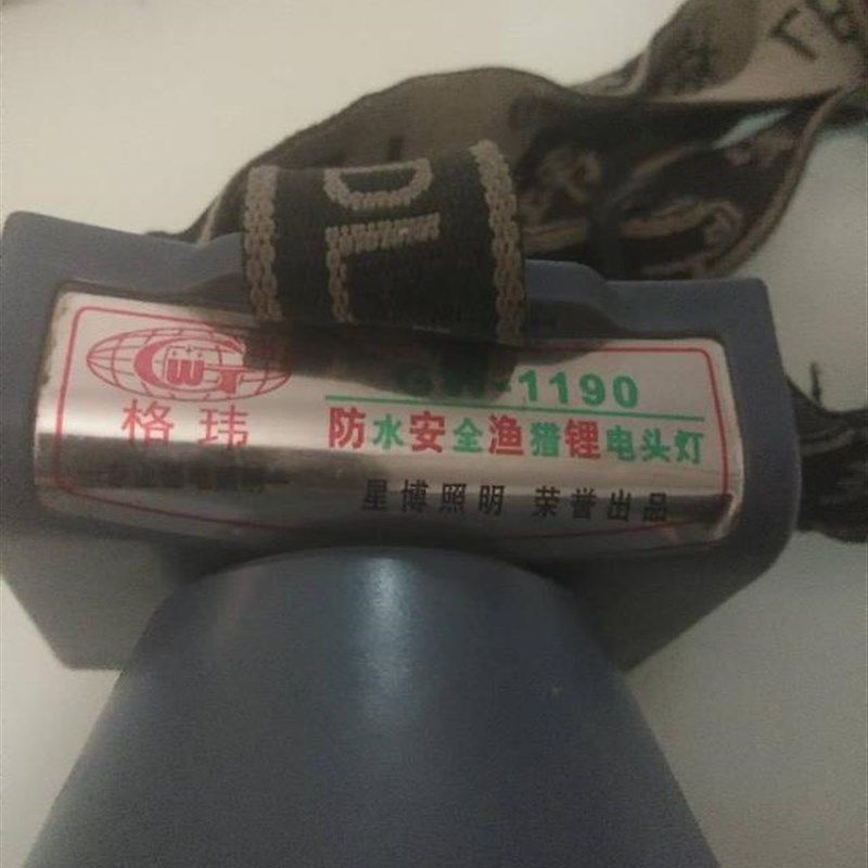 星博照明 格玮-1160 1170 1180 1190 1193 1706锂电头灯充电器