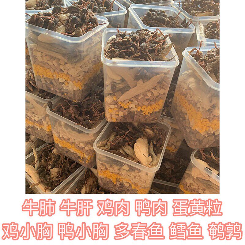 冻干猫狗宠物零食增肥发腮长胖鸡肉鹌鹑鱼500g混合10种口味全家桶
