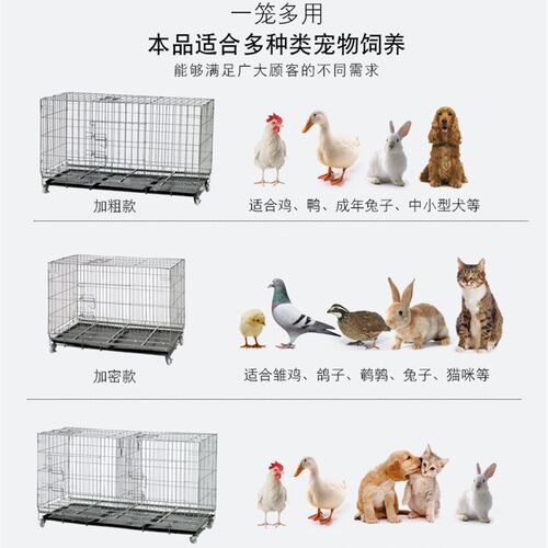 鸡笼子养鸡笼大号养殖笼折叠兔笼子狗笼子加粗蛋鸡笼家用鸡窝鸡舍