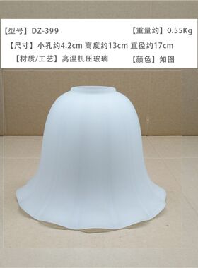磨砂玻璃灯罩欧式吊灯壁灯灯罩外壳灯具配件diy螺口灯头4cm孔