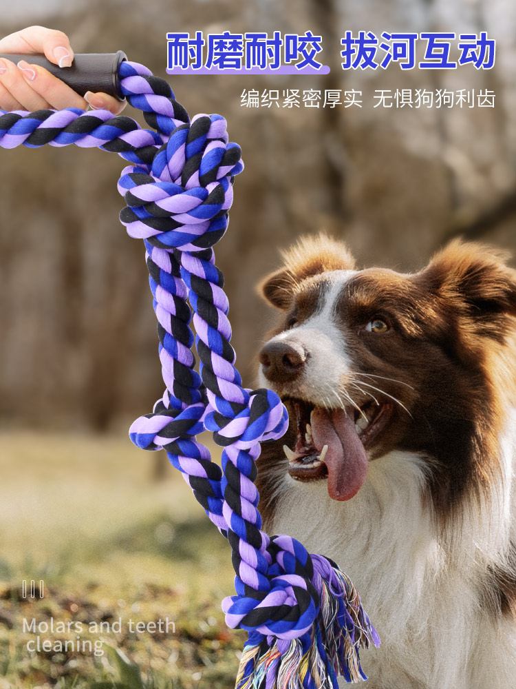 狗狗玩具绳子耐咬磨牙绳结球中大型犬拉布拉多边牧金毛互动拔河绳