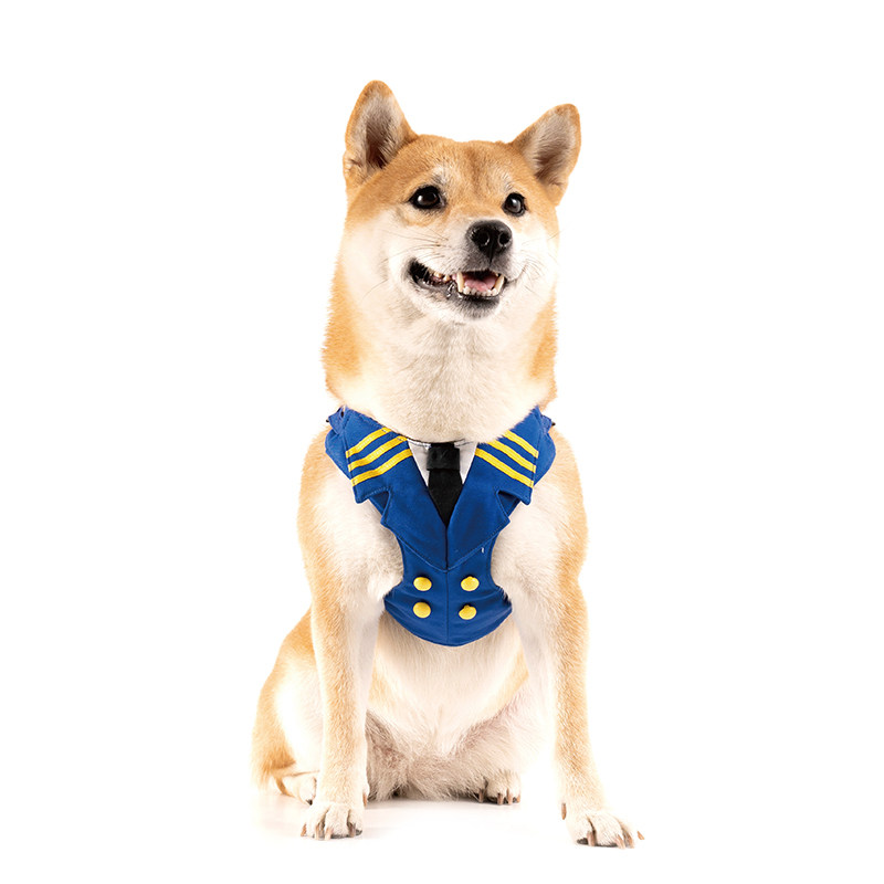 blueport日式宠物中小型犬用牵引绳胸背带遛狗绳防挣脱带反光安全