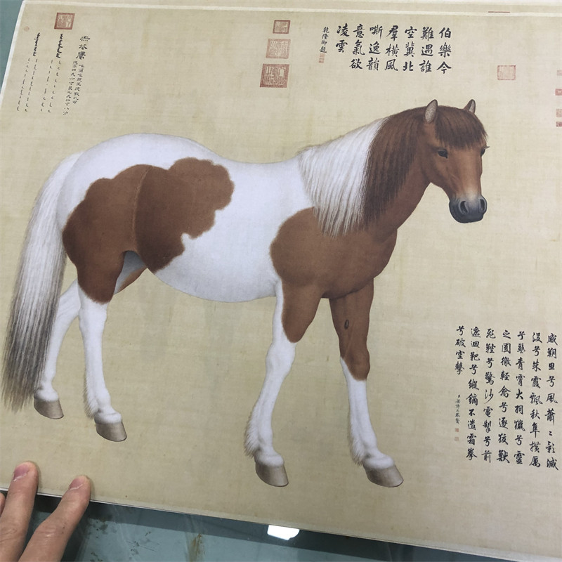 清代 郎世宁 十骏图仿古动物字画高清艺术微喷临摹长卷装裱装饰
