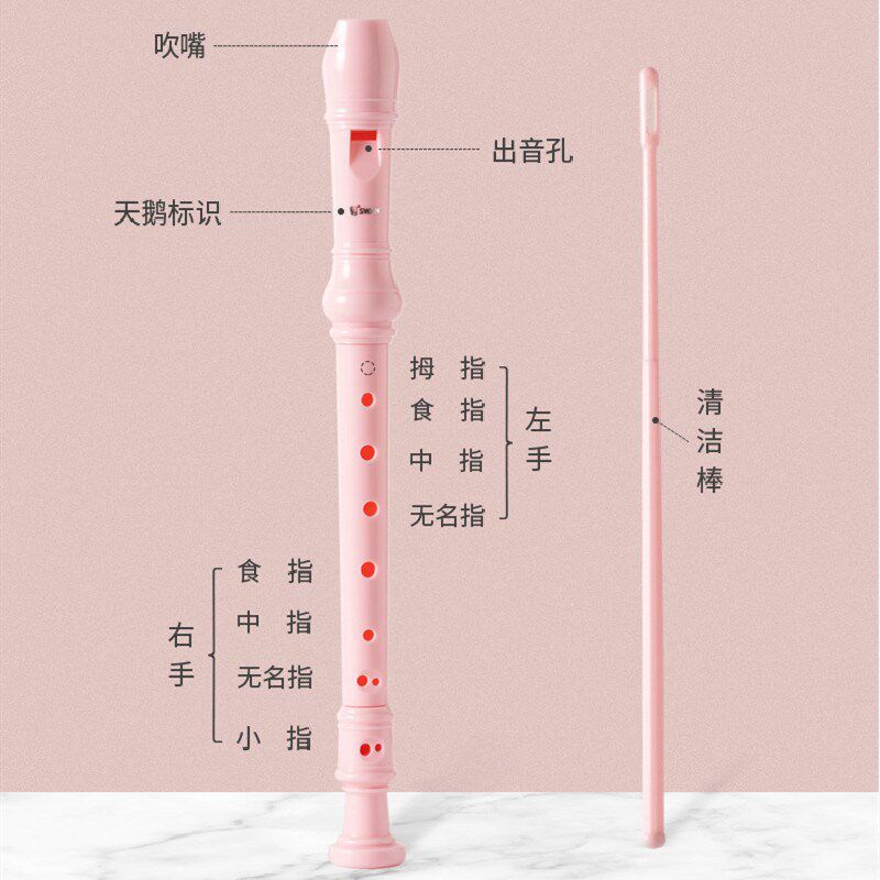 竖笛6孔8孔学生用天鹅六孔八孔儿童初学入门专业演奏笛子乐器坚笛