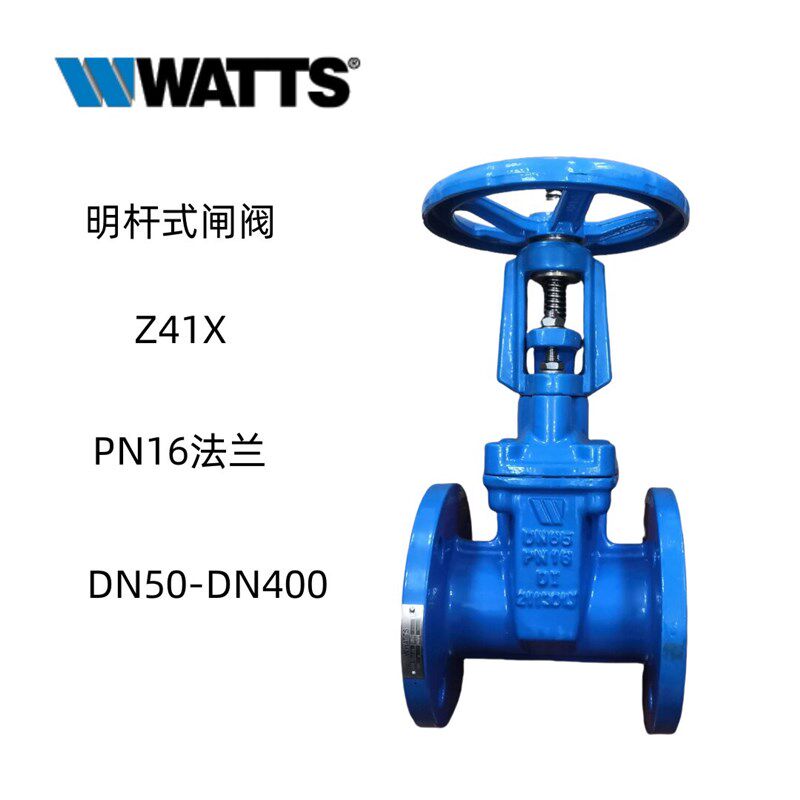美国沃茨WATTS明杆式法兰闸阀Z41X石油化工水厂PN16水管开关DN100
