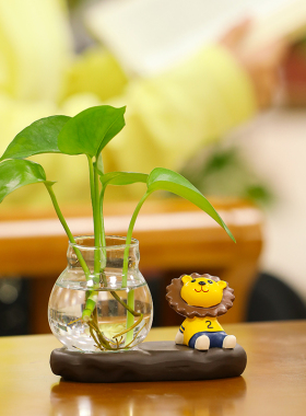 工位公室桌面小摆设水培绿萝花瓶摆件创意办插花空盆玻璃透明容器