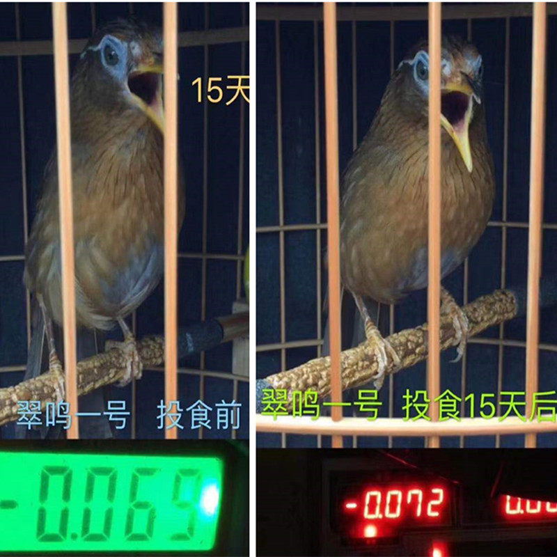 画眉专用手工饲料 翠鸣1号鸟食提性壮膘营养斗鸟打鸟料鸟粮打口料