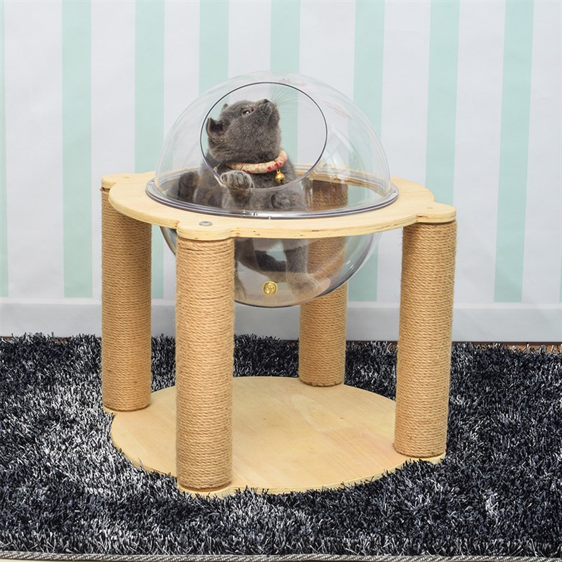 网红亚克力透明猫爬架太空舱DIY爬架实木多层架子猫爬凳子猫抓柱