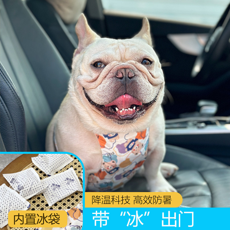 网红夏季新款法斗凉凉衣降温神器宠物冰袋巴哥防中暑狗狗降温背心