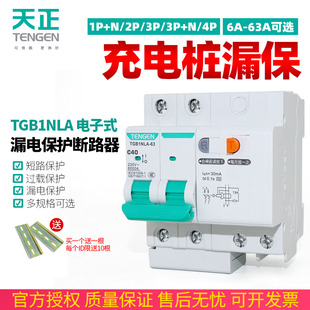 TENGEN天正 充电桩用漏保开关TGB1NLA-63电子式A型漏电保护断路器
