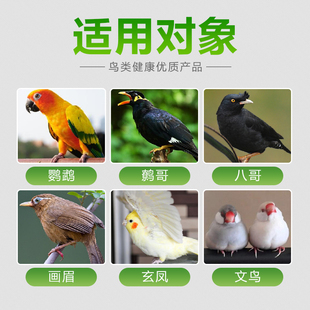 鹦鹉小黑瓜子黑珍珠鸟零食虎皮玄凤牡丹饲料油葵子鸟粮补钙壮膘