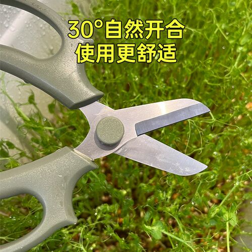 修花剪刀修枝剪家用剪园艺花艺剪花草花枝果蔬采摘专用工具小剪刀