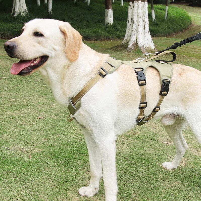 狗狗牵引绳中大型犬金毛边牧牵狗绳防爆冲狗胸背带防挣脱遛狗绳子