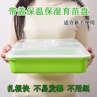 芽苗菜育苗盘豆芽种植盘加密豆苗盘无土栽培水培发芽盆