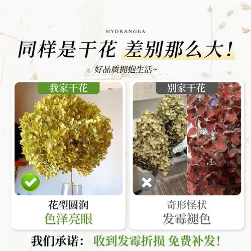绣球干花真花风干天然diy材料客厅摆设室内插花束装饰摆件高级感