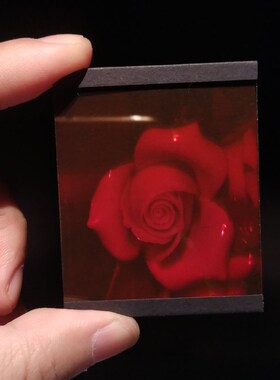 全息玫瑰3D创奇新意礼全反射式物息工艺品摄影照片裸眼三维立体