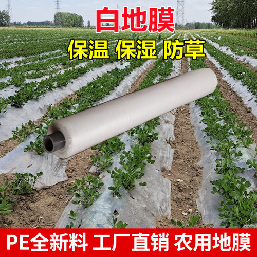 地地草农用白膜保温保湿蔬菜大棚果园种植防膜白布膜工程塑料薄膜