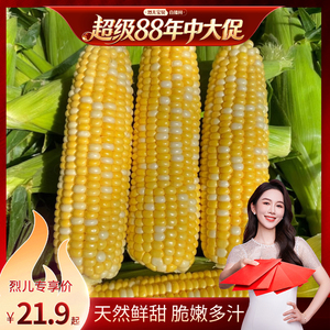 【烈儿宝贝直播间】云南新鲜水果玉米嫩玉米早餐搭档玉米轻食