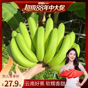 【烈儿宝贝直播间】云南威廉斯香甜香蕉软糯青皮发货到货需催熟