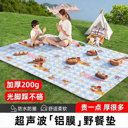 户外便携露营野餐垫防水公园地垫