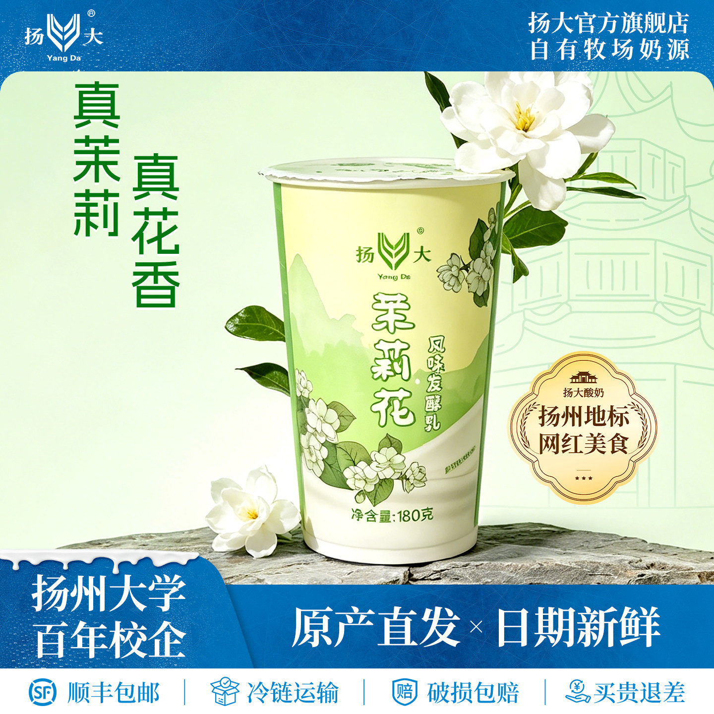 扬大酸奶扬州大学网红茉莉花低温酸奶生牛乳原味酸牛奶风味发酵乳