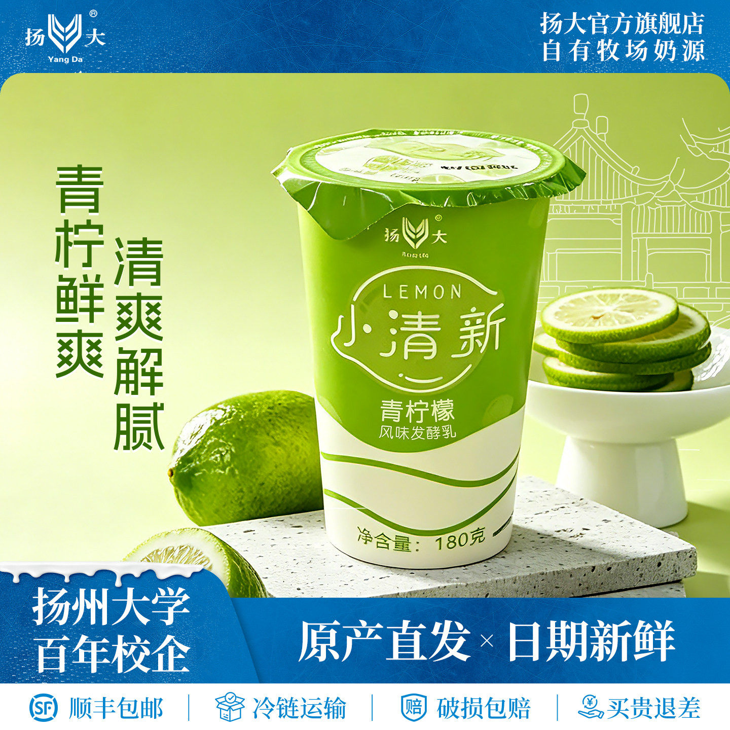 扬大酸奶扬州大学网红青柠檬低温酸奶生牛乳茉莉花酸牛奶发酵乳