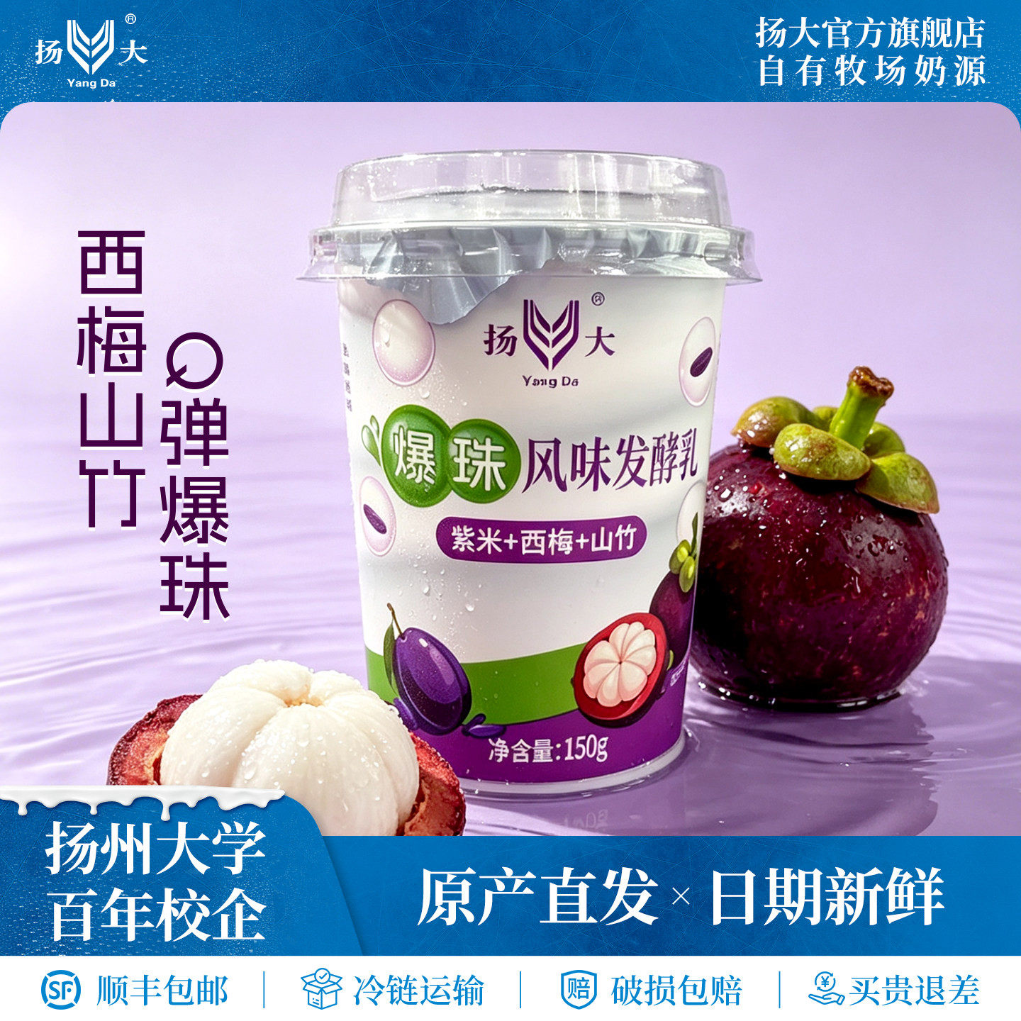 扬大酸奶扬州大学网红爆珠西梅山竹低温酸牛奶生牛乳茉莉花发酵乳