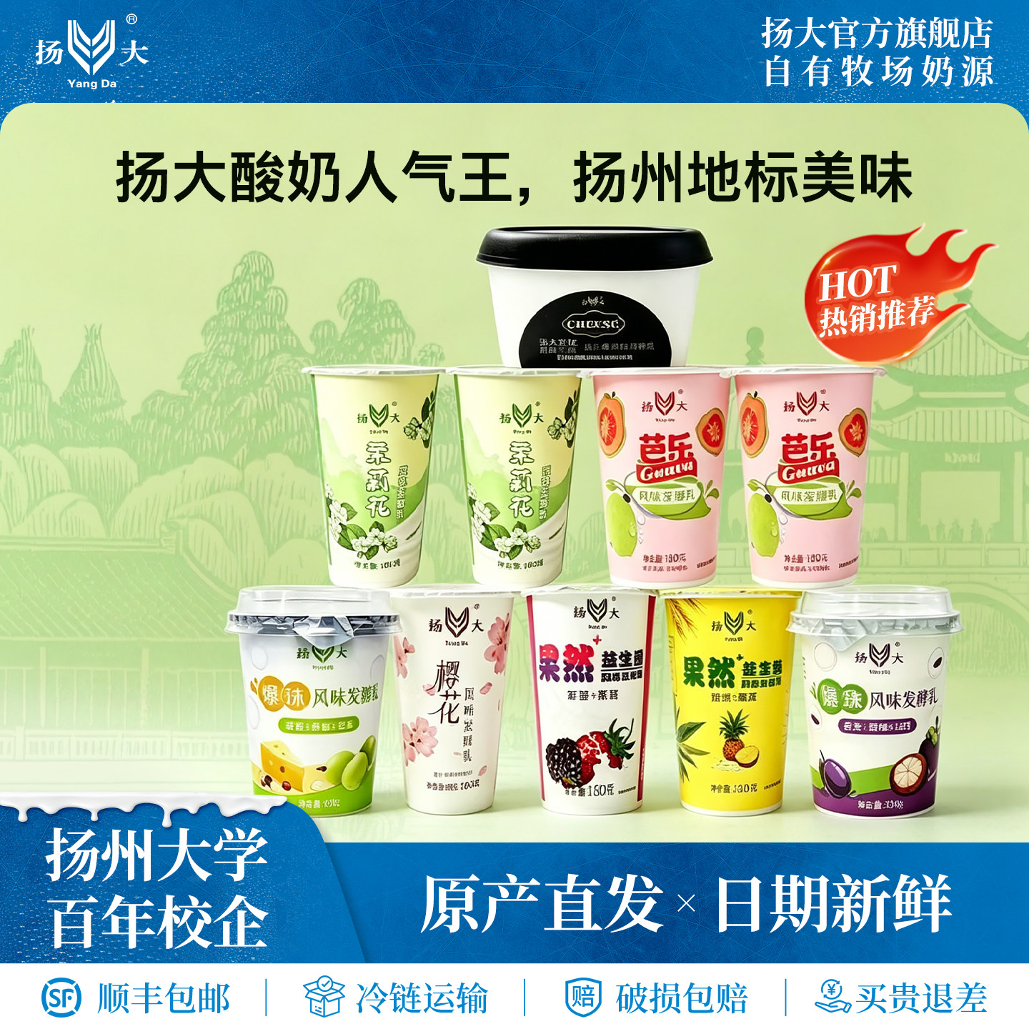 扬大酸奶扬州大学网红茉莉花低温酸奶生牛乳原味酸牛奶发酵乳10杯