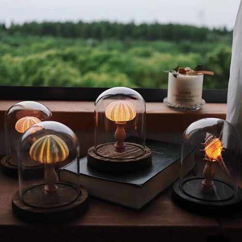 一个抽屉 复古贝壳海胆海螺灯小夜灯摆件手工diy材料包520端午节