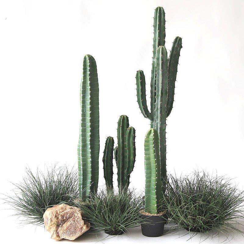 彷真仙人柱绿植盆栽装饰彷生热带沙漠植物造景套餐组合假仙人掌