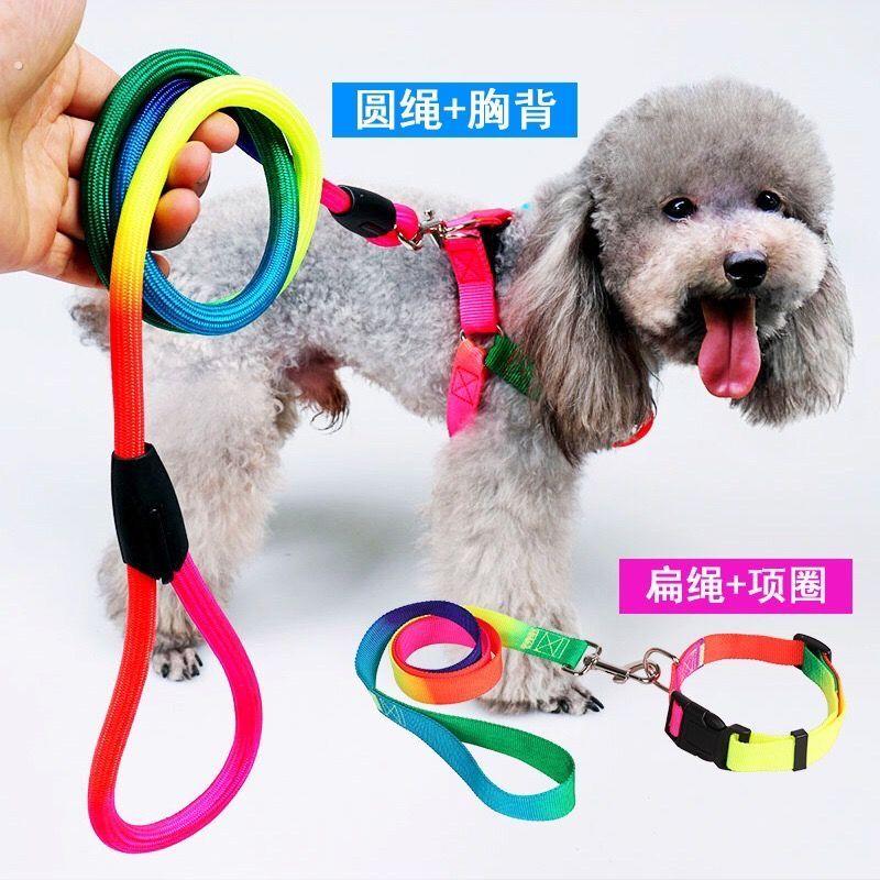 狗狗牵引绳泰迪遛狗绳子猫咪七彩项圈狗绳背带小型宠物链子