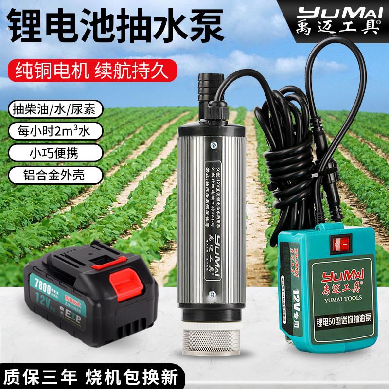 小型锂电池抽水泵菜地农村地里浇水神器充电自吸潜水泵家用大功率