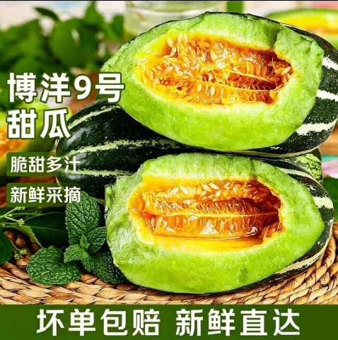 【下单立减50】山东原棚头茬博洋9号甜瓜春季新鲜脆甜