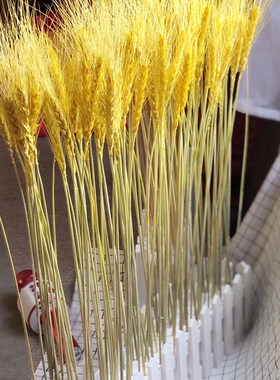天然干花麦穗栅栏套装开业大麦子田园装饰礼品拍摄道具稻穗干花艺
