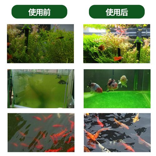 鱼缸净水剂水立清特清水质清澈澄清去绿水鱼池专用杀菌清洁除藻剂