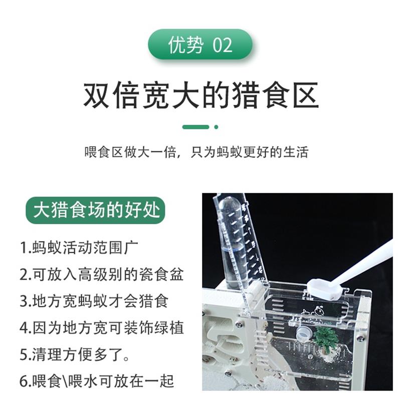 蚂蚁城堡蚂蚁工坊小宠物送蚁后群生态沙土巢沙堡蚁巢窝家园王国