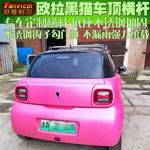 Tanvicol欧拉汽车车顶横式行李架承重通用横架车顶箱横杆不锈钢