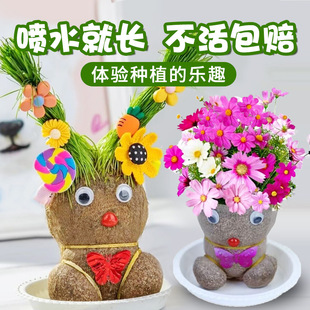 长草娃娃草头开花小盆栽植物头上头顶浇水种草幼儿园儿童水培绿植