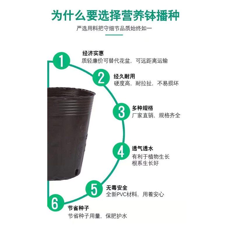 营养钵营养杯育苗杯塑料花盆加厚一次性树苗杯农用营养袋育苗花盆