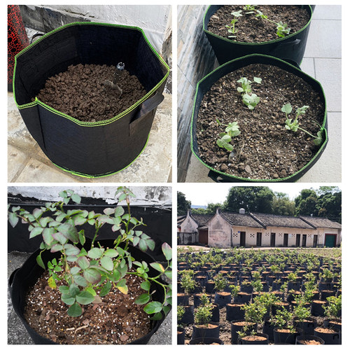 种美植袋树袋加厚黑色无纺布出口加仑阳台楼顶种植瓜果蔬菜袋包邮