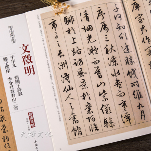文阁明文征明草书行书千阳文 悟字子诗叙 滕王徵序毛笔书法字帖