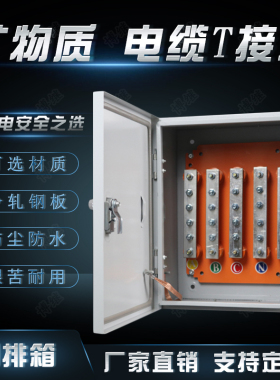 外压铜排箱成套带端子电缆T接线箱明装防水户低矿物质分换转支箱