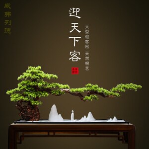 迎弗列德办公罗桌面玄关装饰盆景大型仿真威客松室汉松美人松摆件