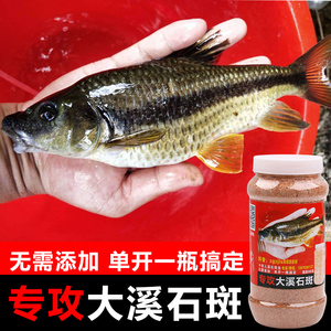 小官人溪石斑鱼饵料野钓马哥石斑鱼溪口鲫鱼通杀溪流饵秘制钓窝料