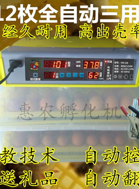 双电乳化机抱蛋器自动型小型孵化器用家孵化设备小鸡孵化箱鸭鹅
