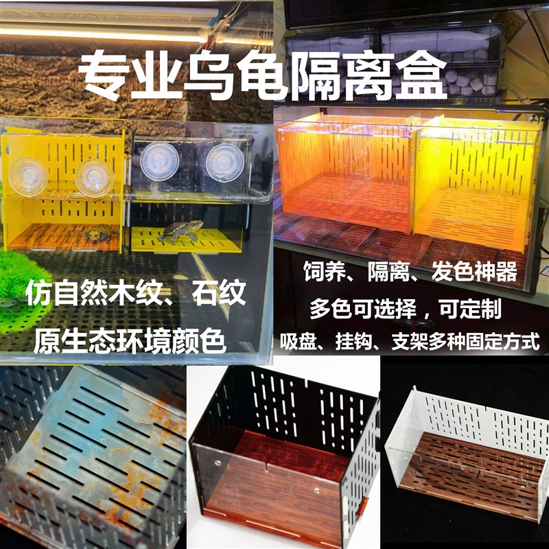 亚克力木纹乌龟隔离盒蛋龟窄桥发色盒剃刀白色黑色黄色水族木纹盒 - 实物图
