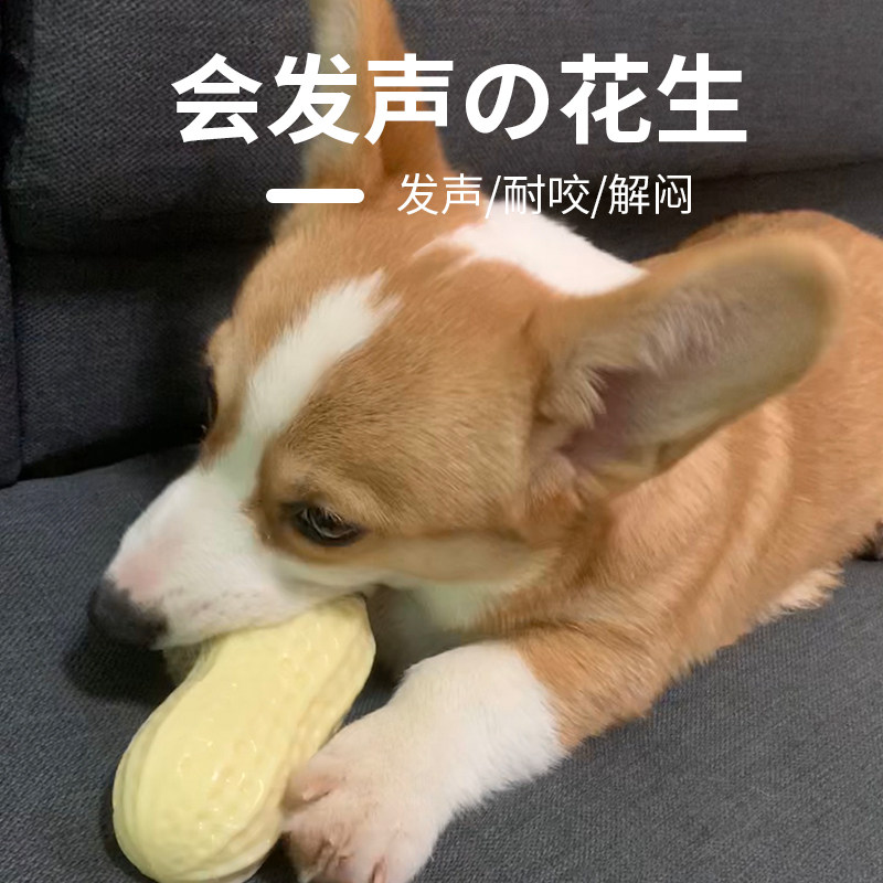 发声逗狗玩具小型犬柯基泰迪橡胶球大型犬金毛边牧耐咬磨牙狗狗球